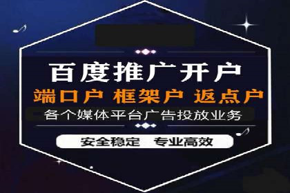 百度竞价广告投放案例解析